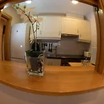 Homes Figueras At Apartment Castropol