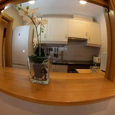 Homes Figueras At Apartment Castropol